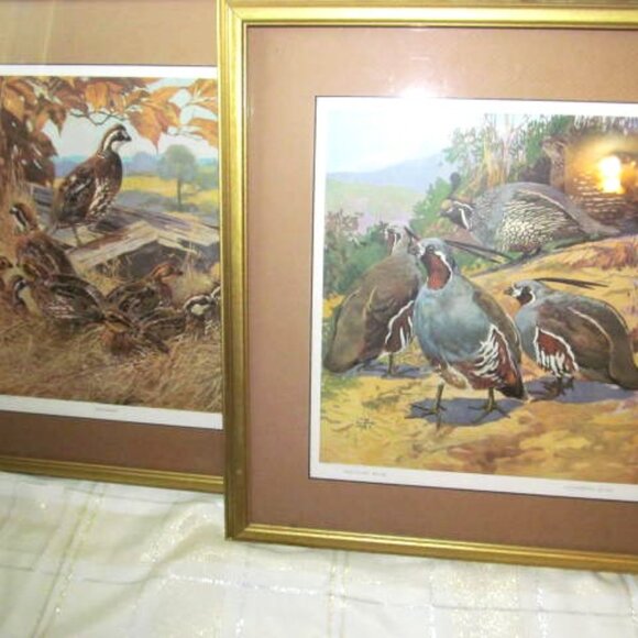 2 CALIFORNIA QUAIL PICTURESSTATE BIRD' MAMA AND BABIES NICE FRAMES UNDER GLASS